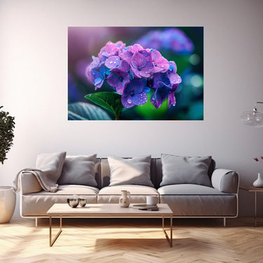 Hydrangea Canvas
